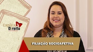 Explica Direito Filiação Socioafetiva  2019 [upl. by Eninahpets254]