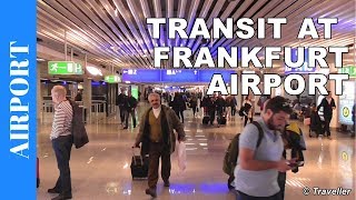 TRANSIT WALK AT FRANKFURT Airport FRA Terminal 1  Connection Flight Transfer Arriving amp Departing [upl. by Albertina]